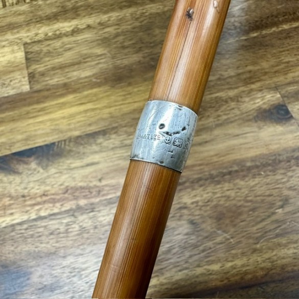 Walking Stick 2a